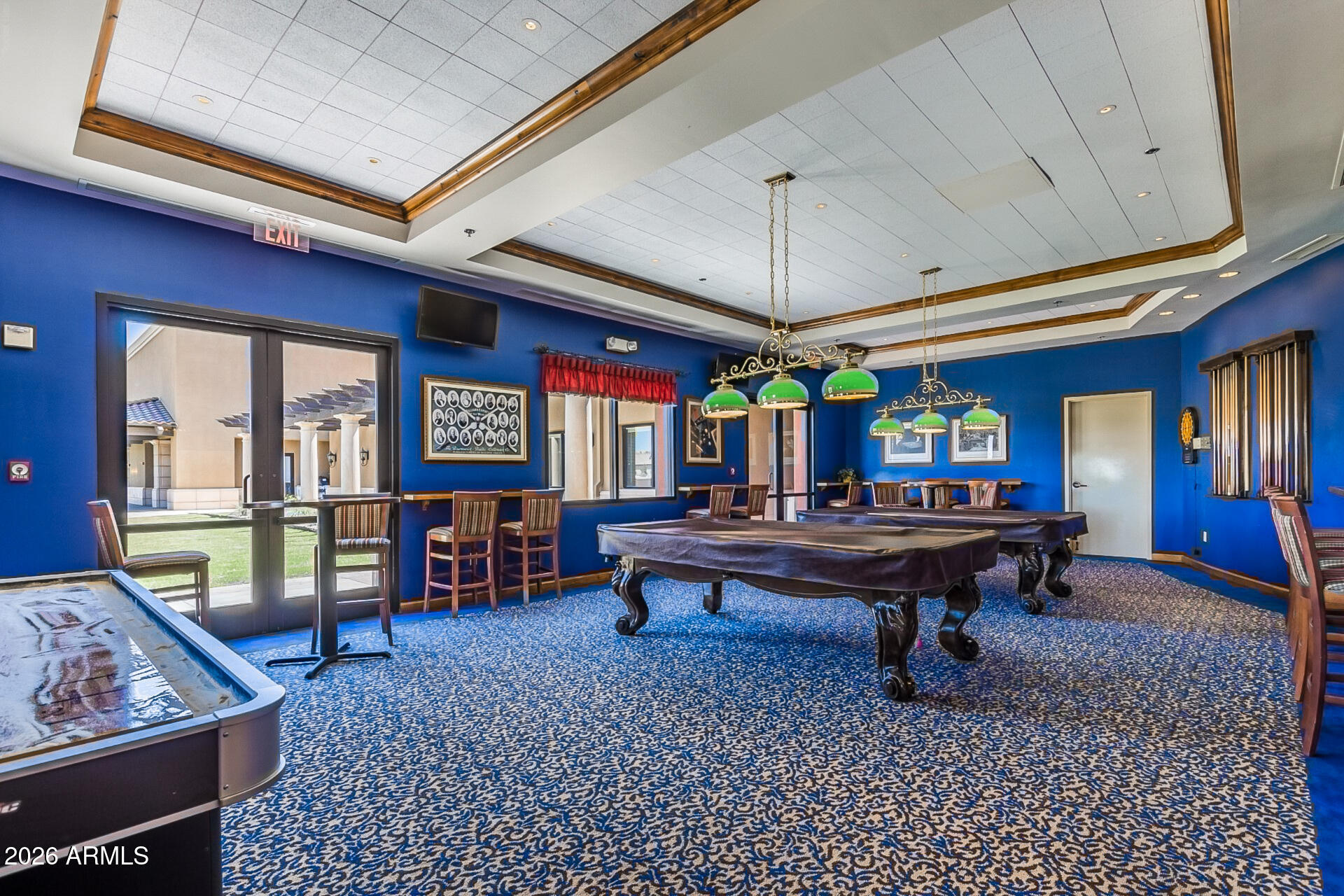 41801 W CACTUS FLOWER