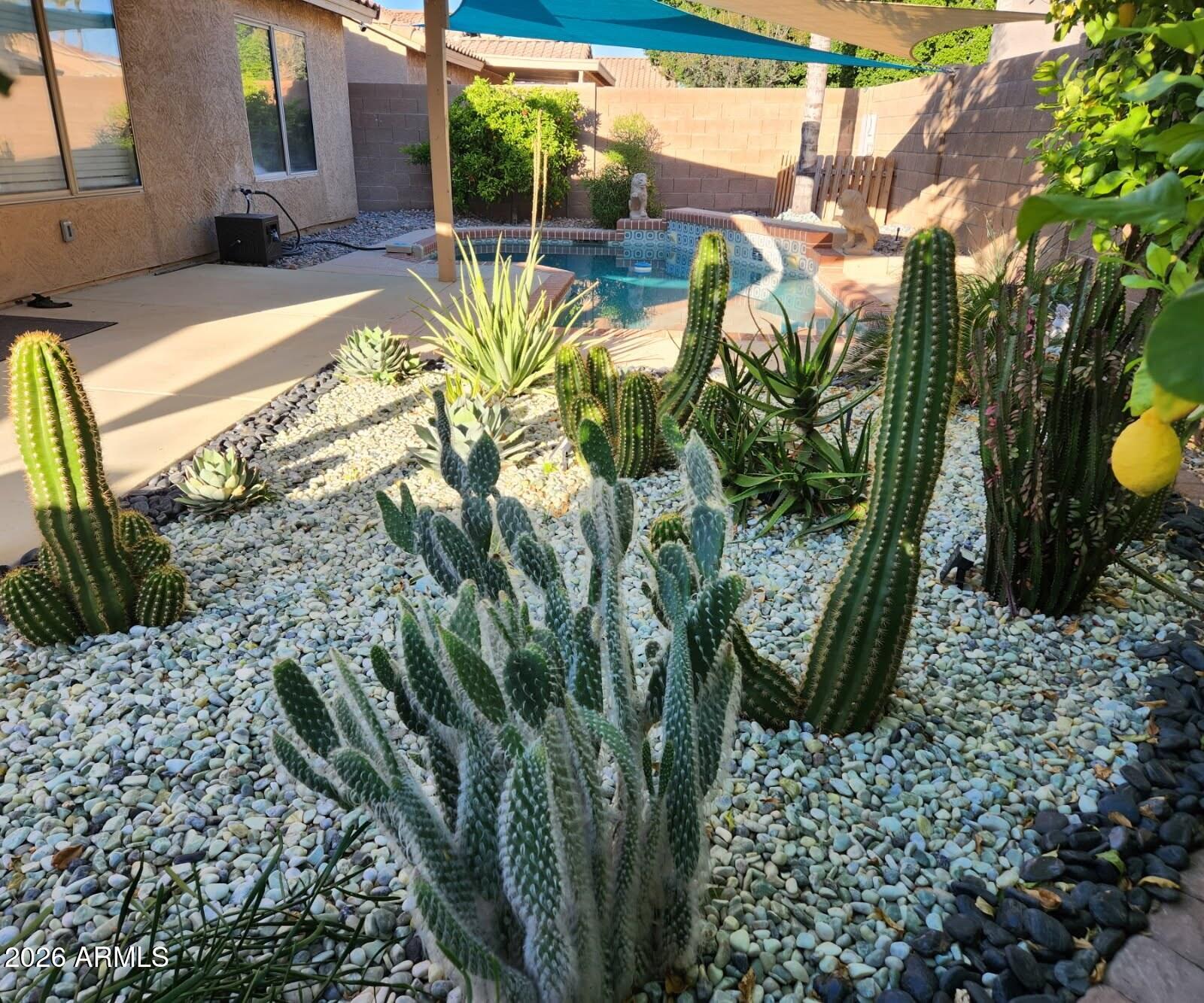 15029 W BOTTLE TREE Avenue