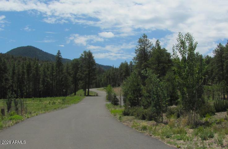 1021 STONE HOLLOW Loop 2