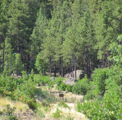 1021 STONE HOLLOW Loop 2