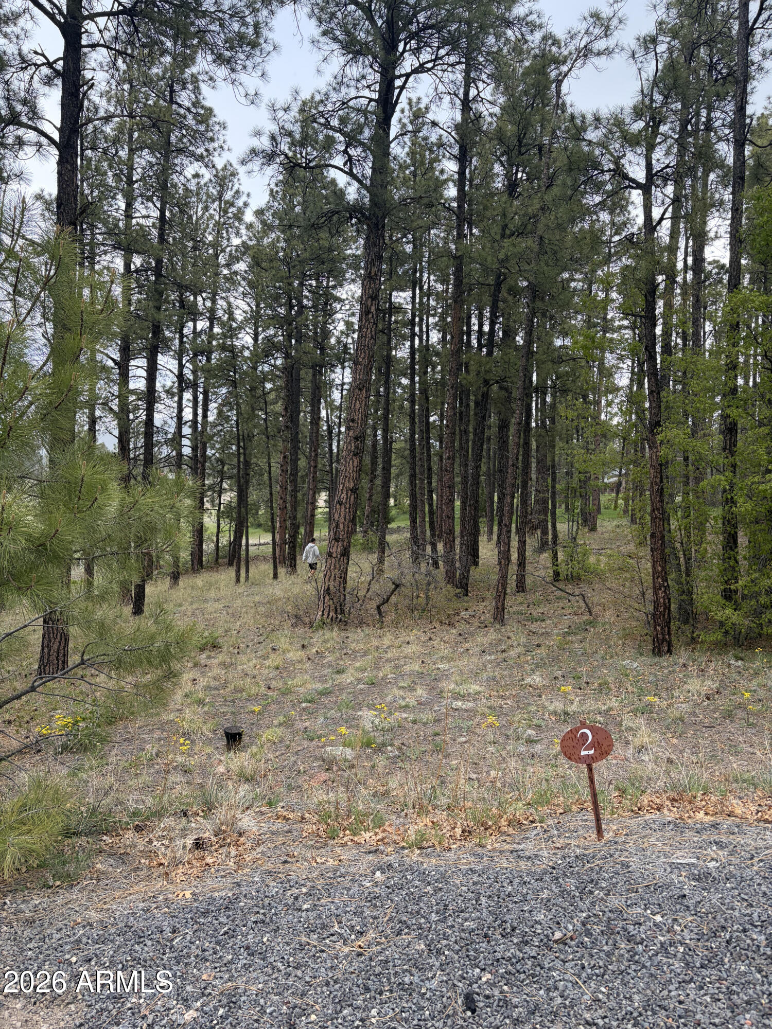 1021 STONE HOLLOW Loop 2