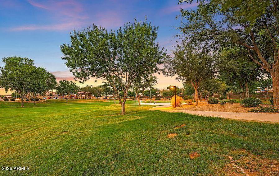 15454 W Cameron Drive