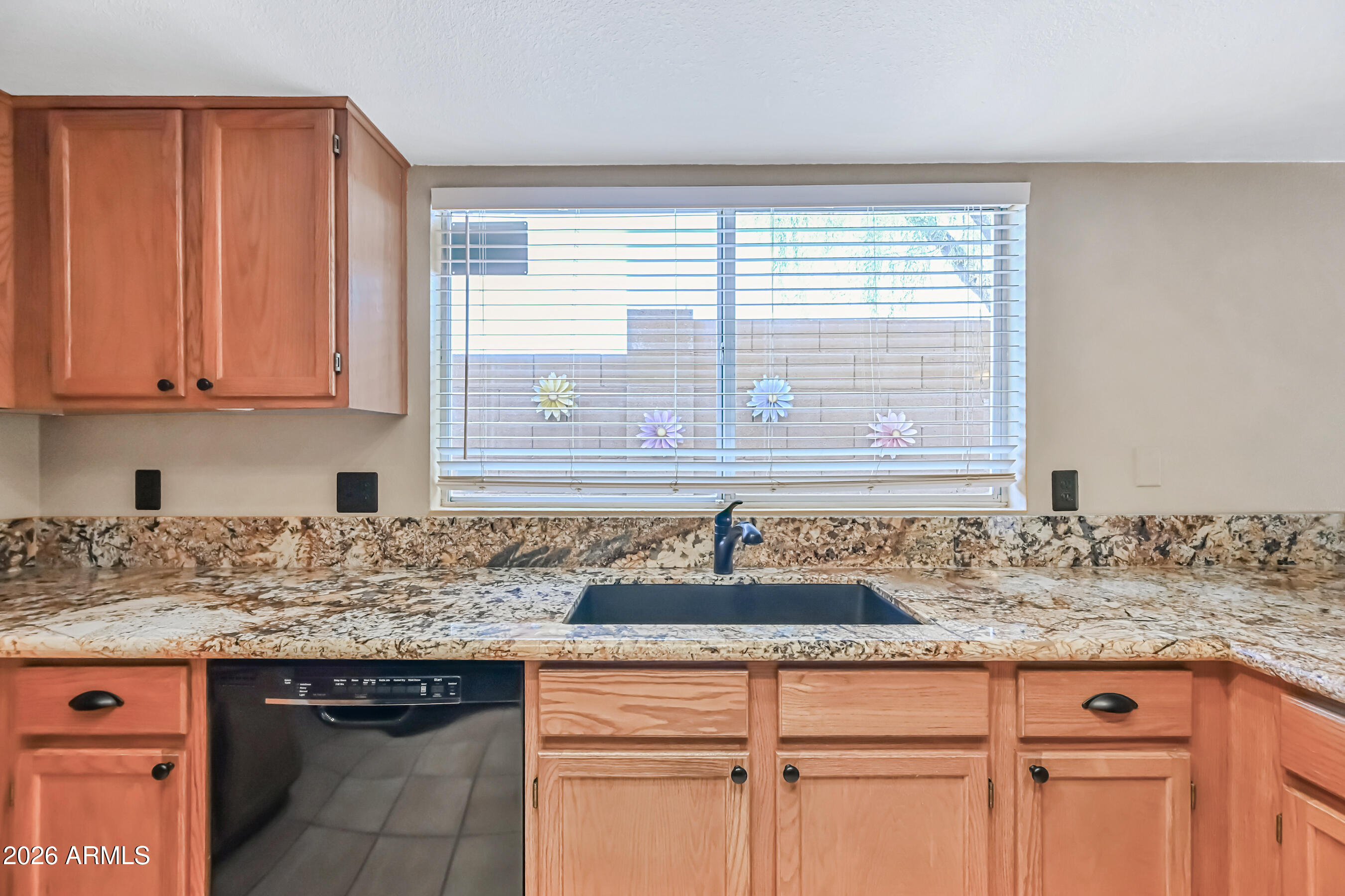20841 N 1st Drive