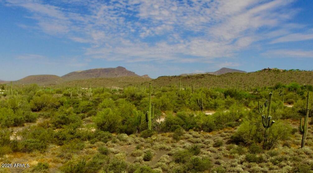 42023 N 72ND Street -