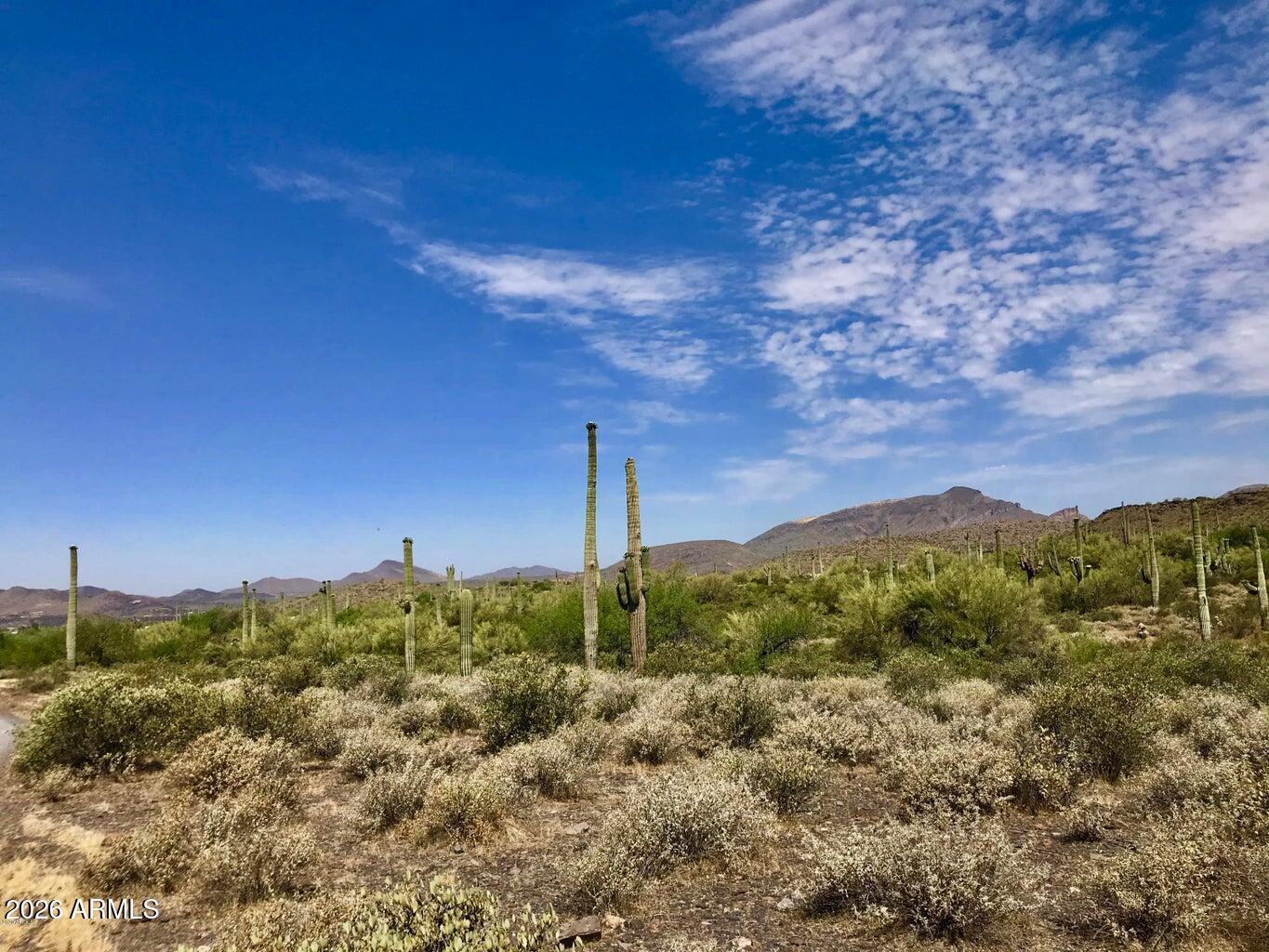 42023 N 72ND Street -