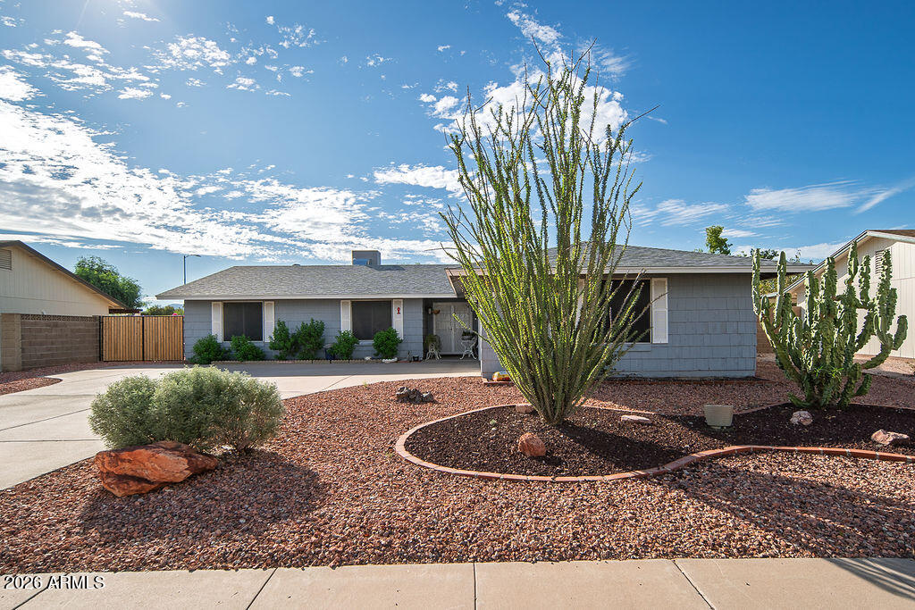 Single-story blue-gray home with desert landscaping, cacti, and a concrete driveway.