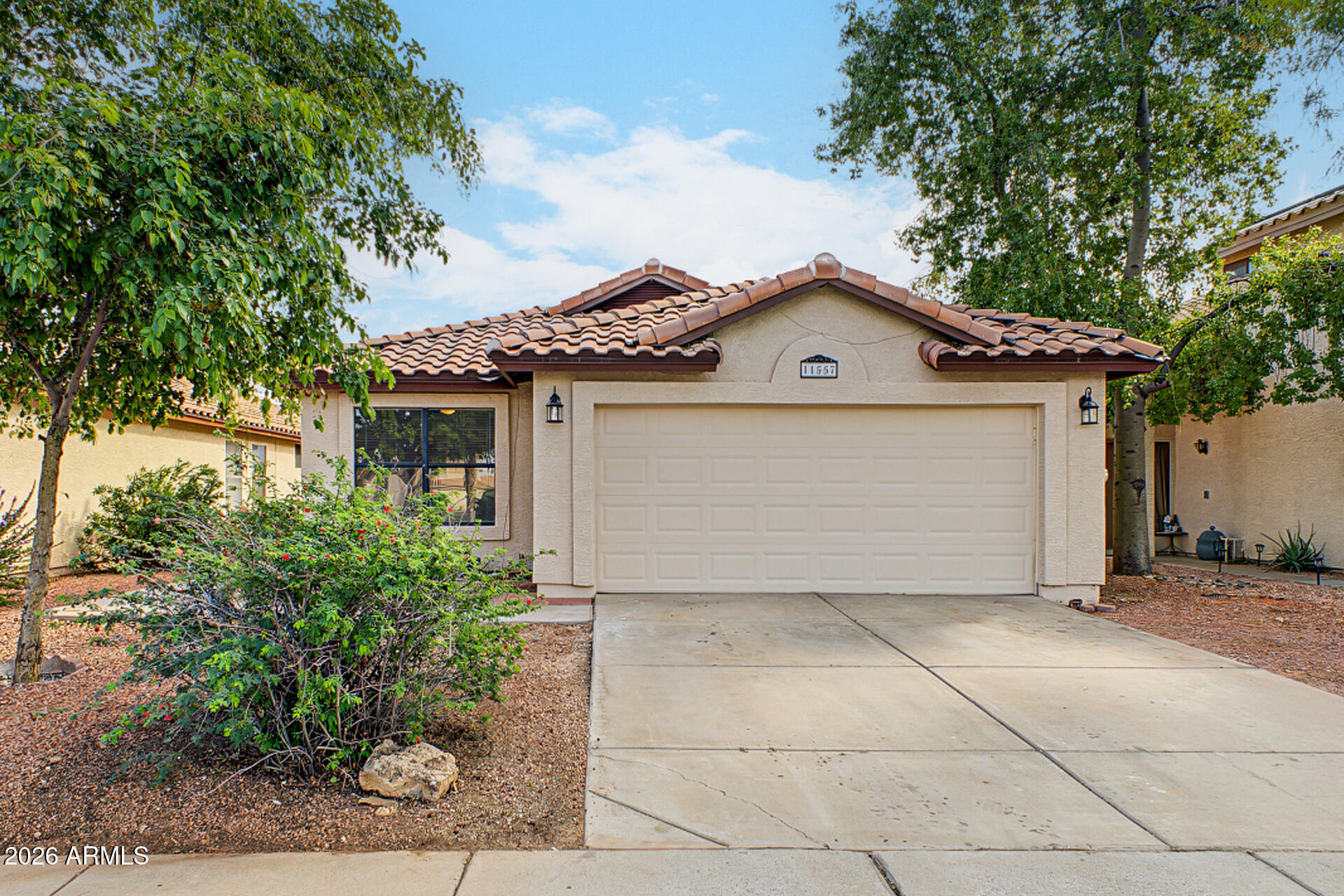 11557 W OLIVE Drive