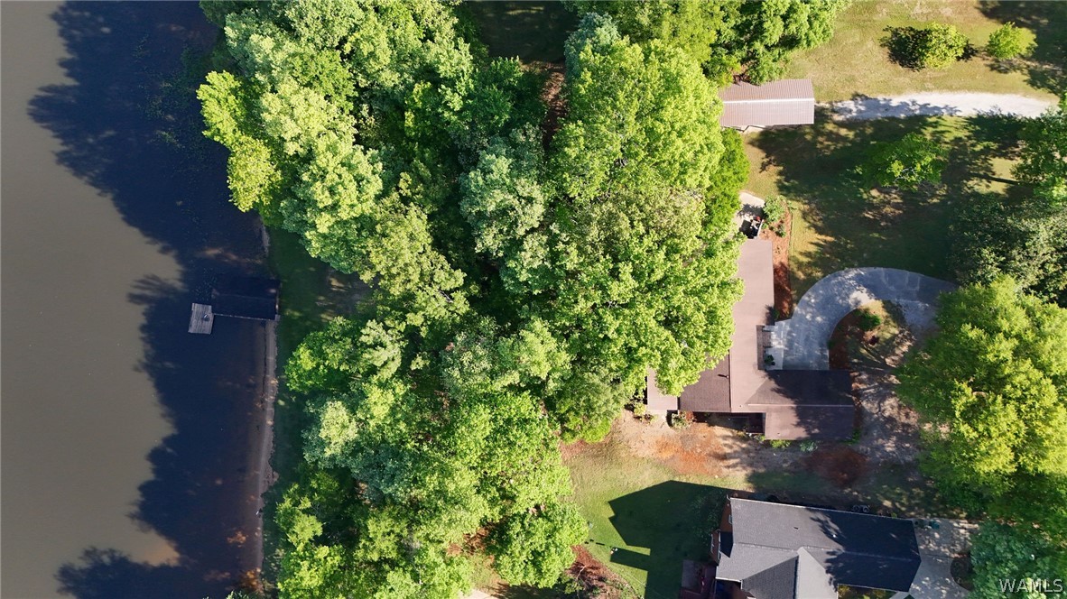 13590 Rejenal Forest Road