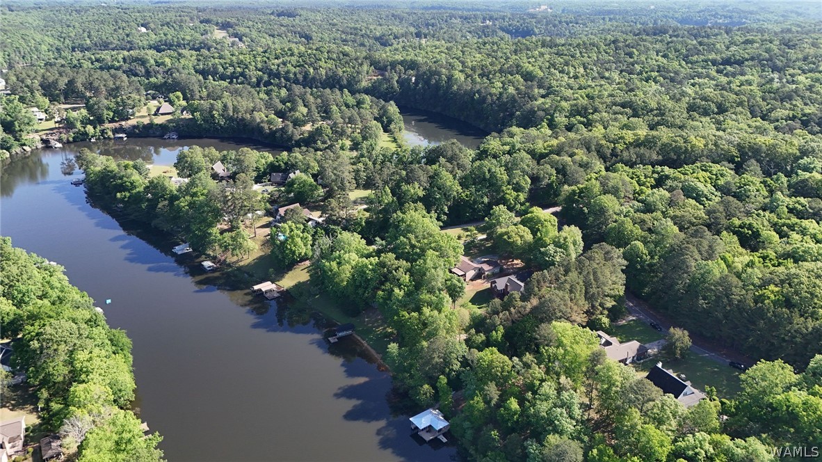 13590 Rejenal Forest Road