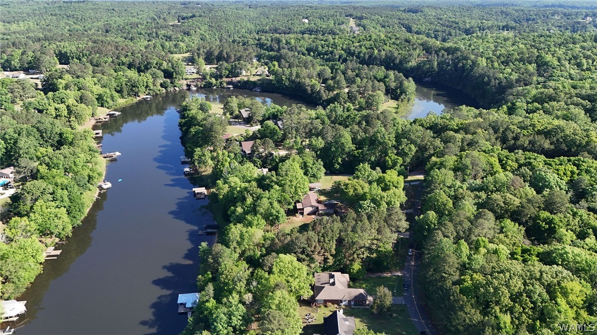 13590 Rejenal Forest Road