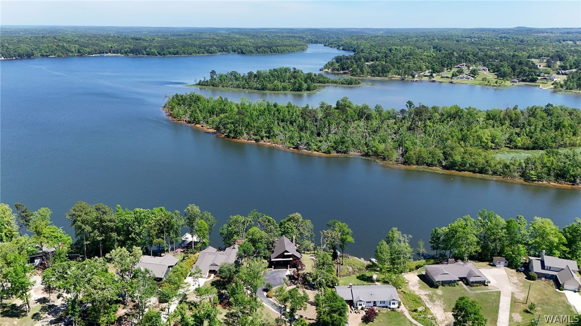 11999 Grandview Drive