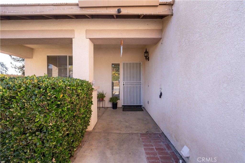 33302 Golden Meadow Court