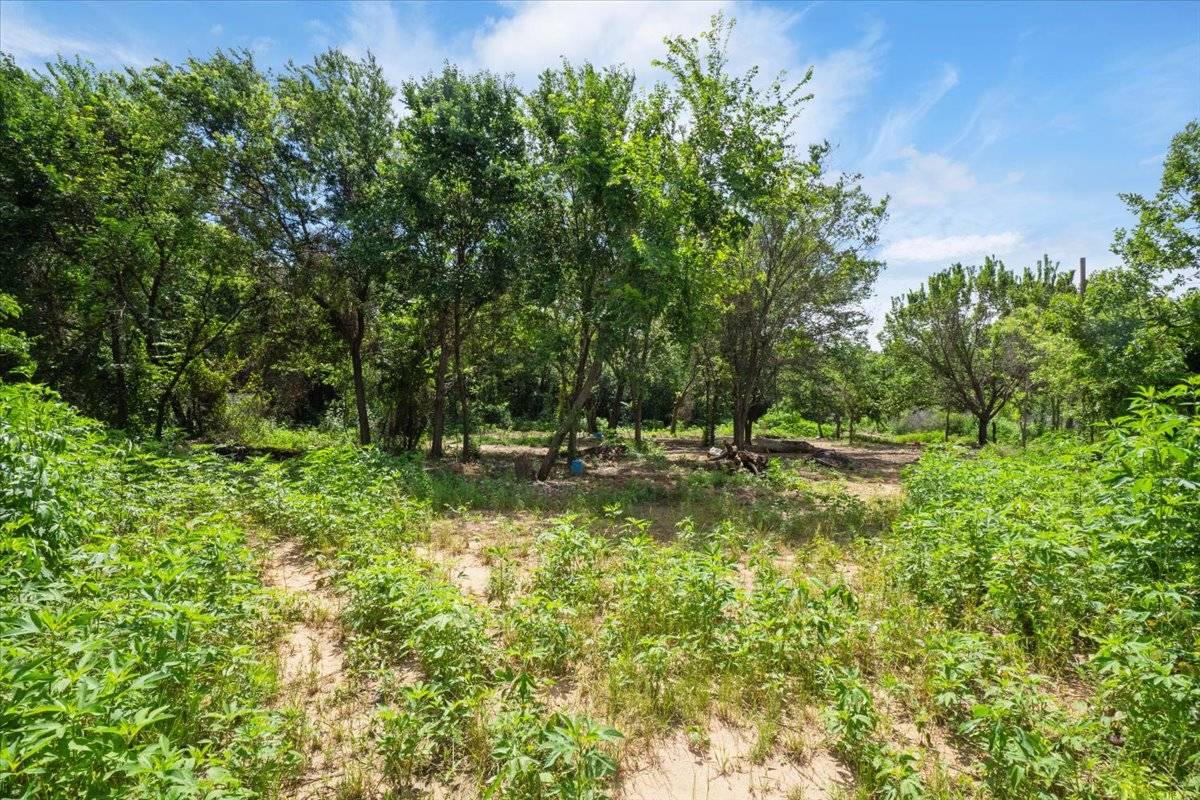 1247 County Road 4590