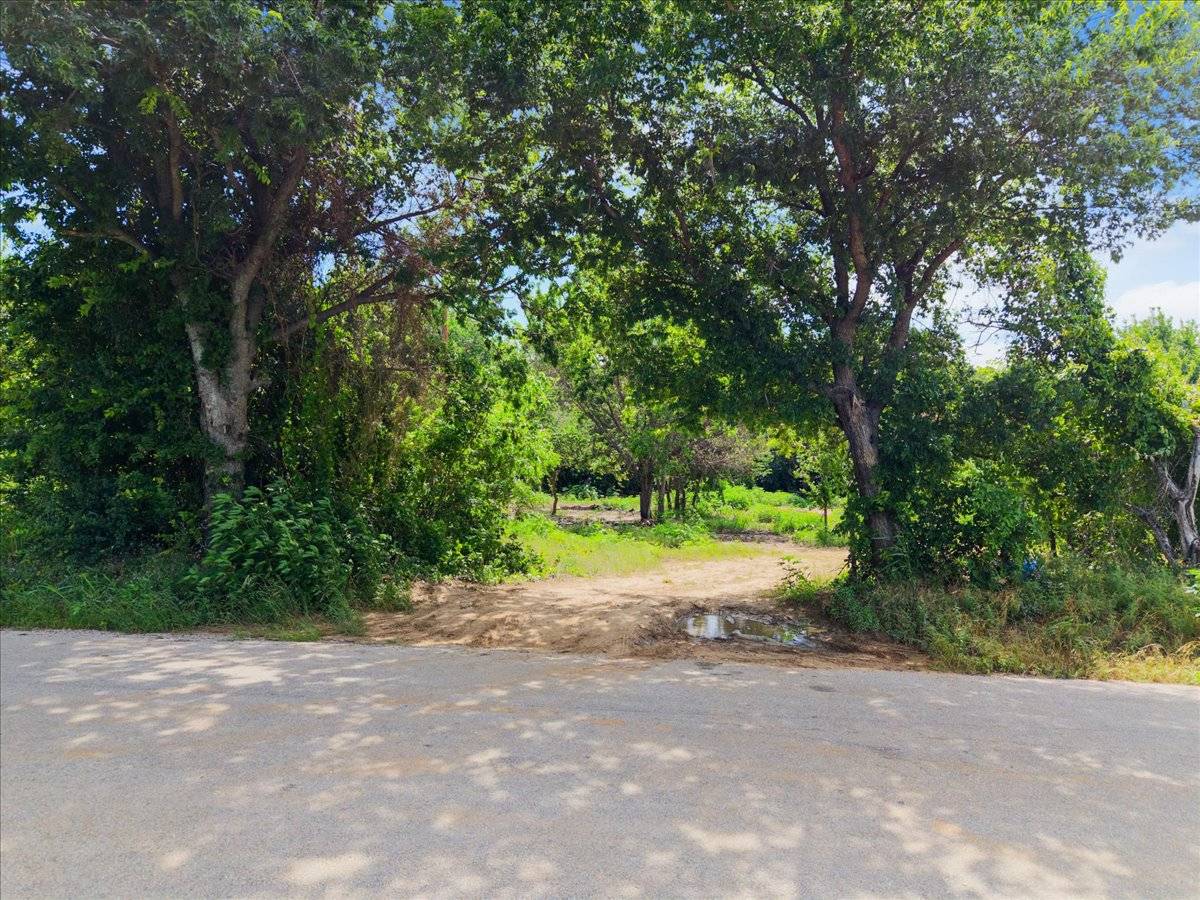 1247 County Road 4590