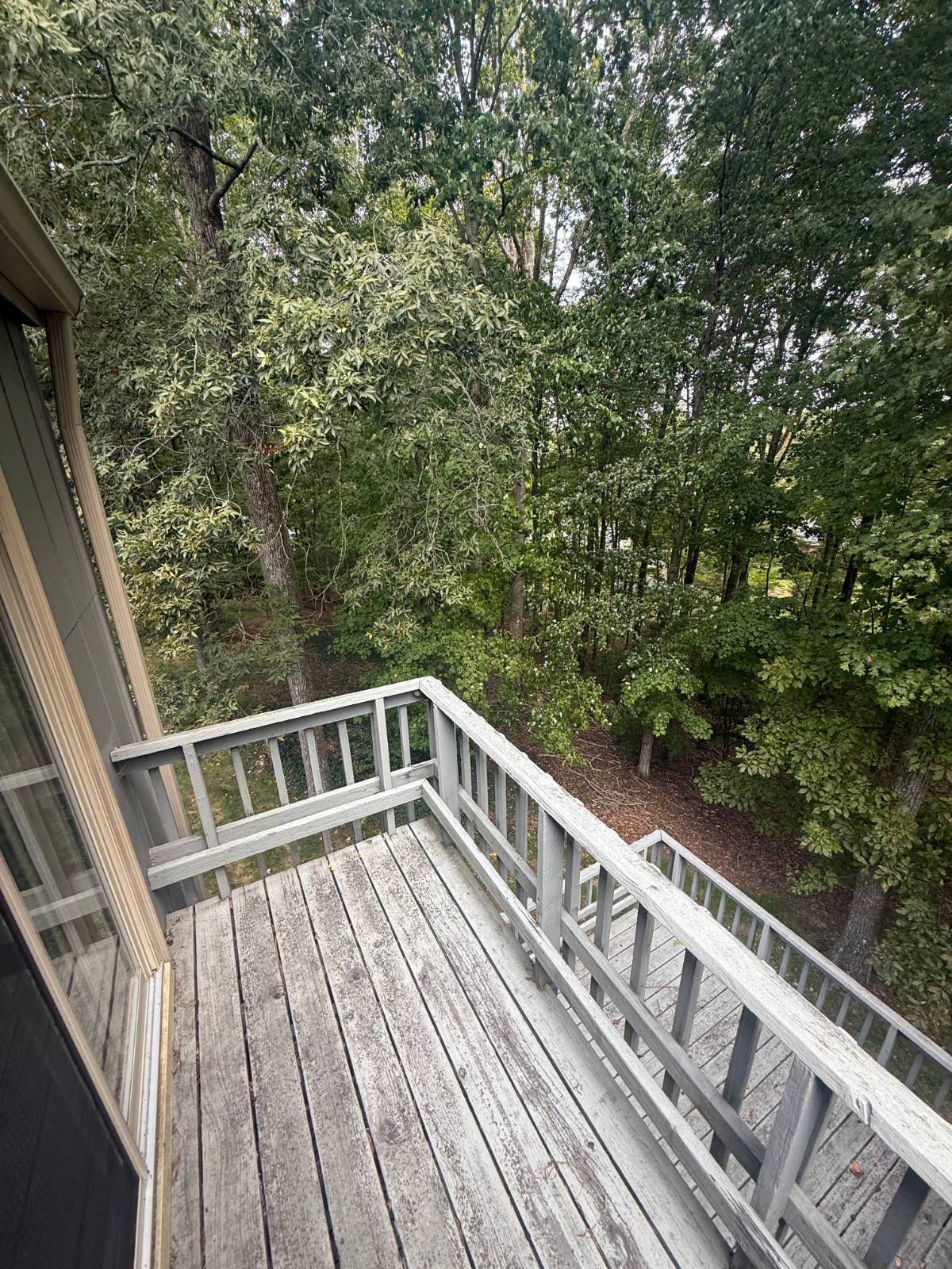 304 Dogwood Ct