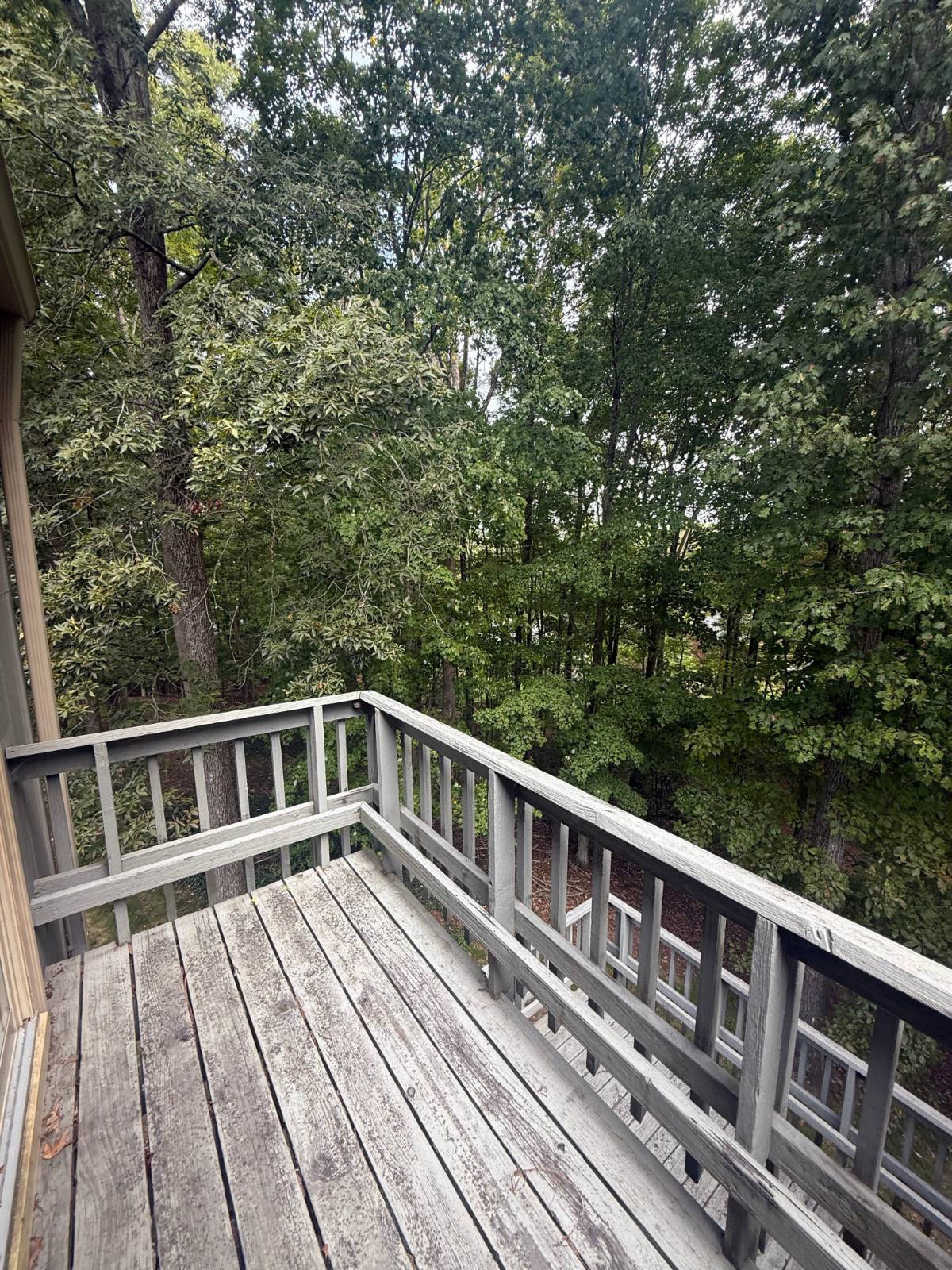 304 Dogwood Ct