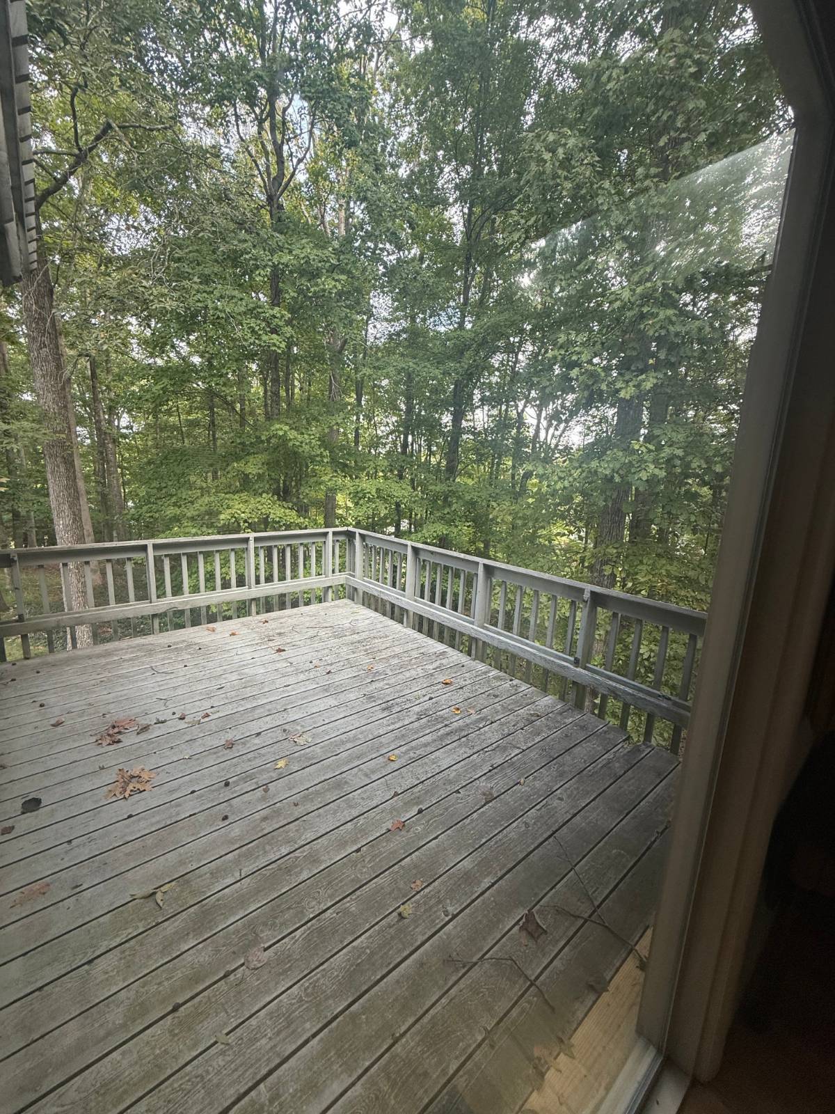 304 Dogwood Ct