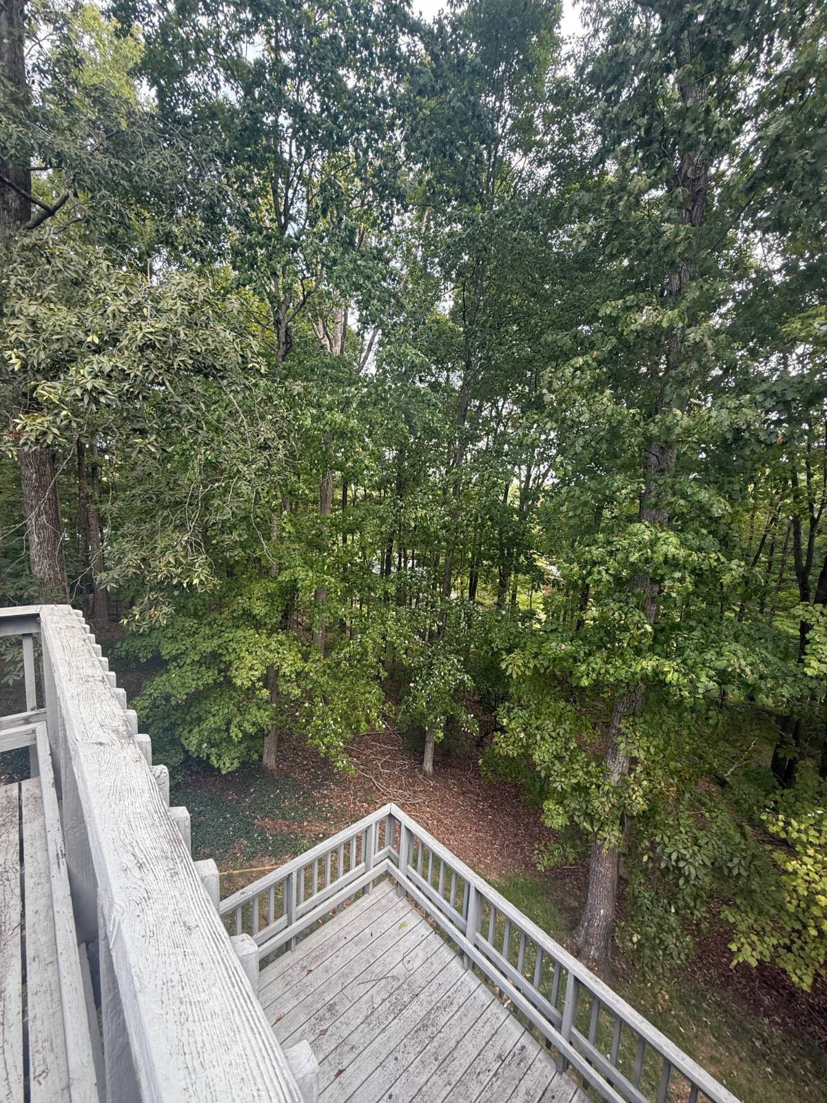 304 Dogwood Ct