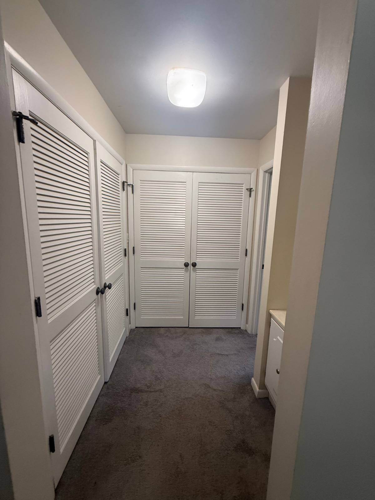 304 Dogwood Ct