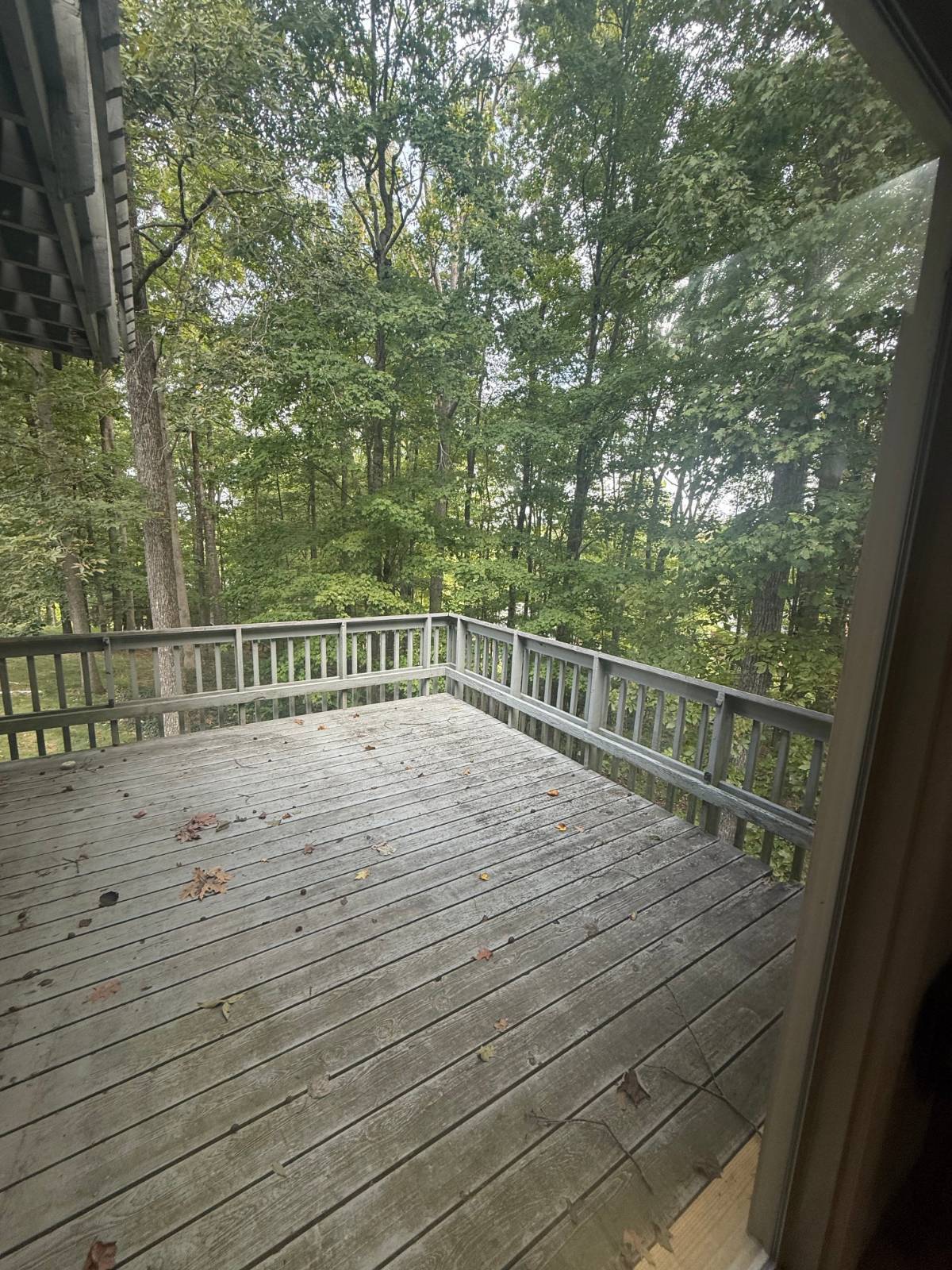 304 Dogwood Ct