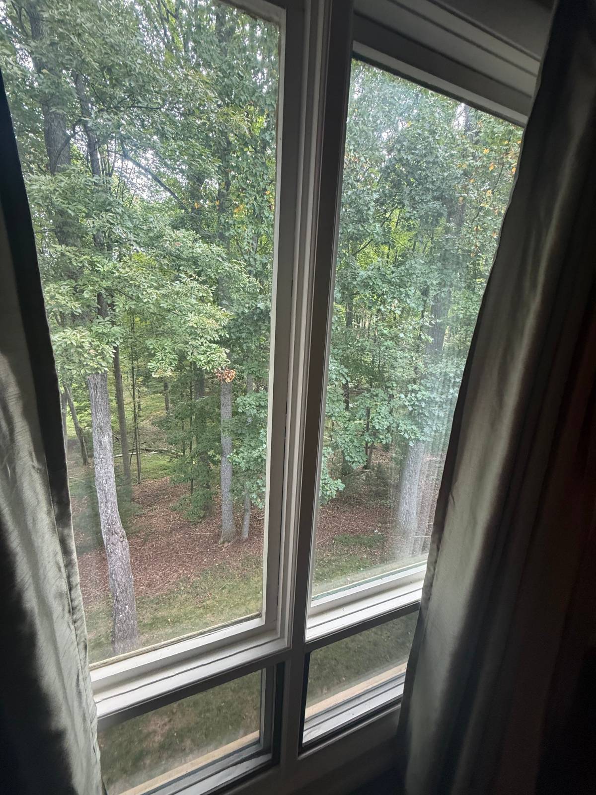 304 Dogwood Ct