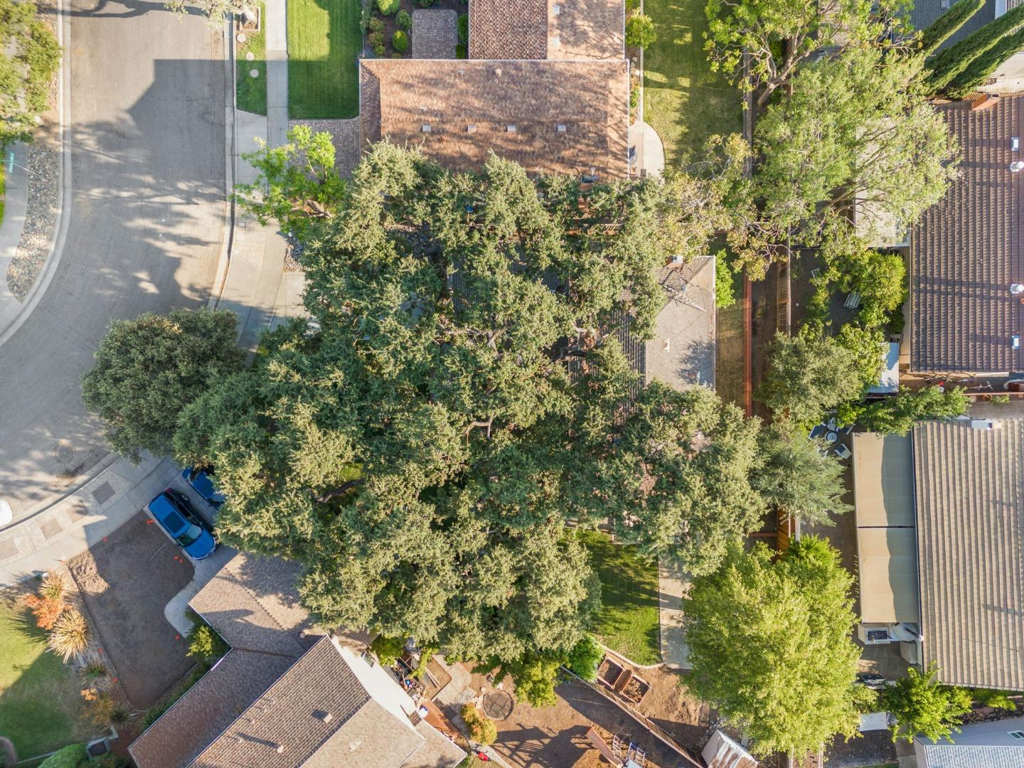 4037 Casa Grande WAY