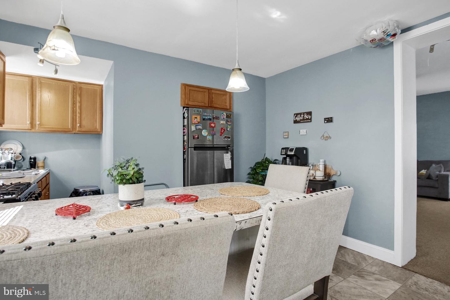 1132 MOUNT LAUREL AVENUE