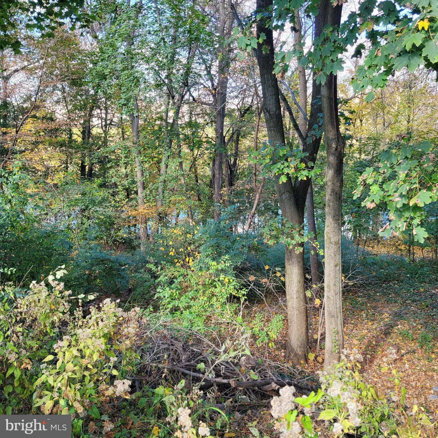 31 Berkley Park Rd