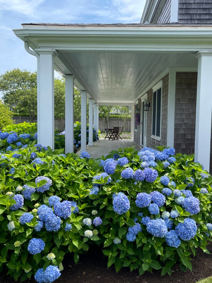 2 Hiawasse Lane