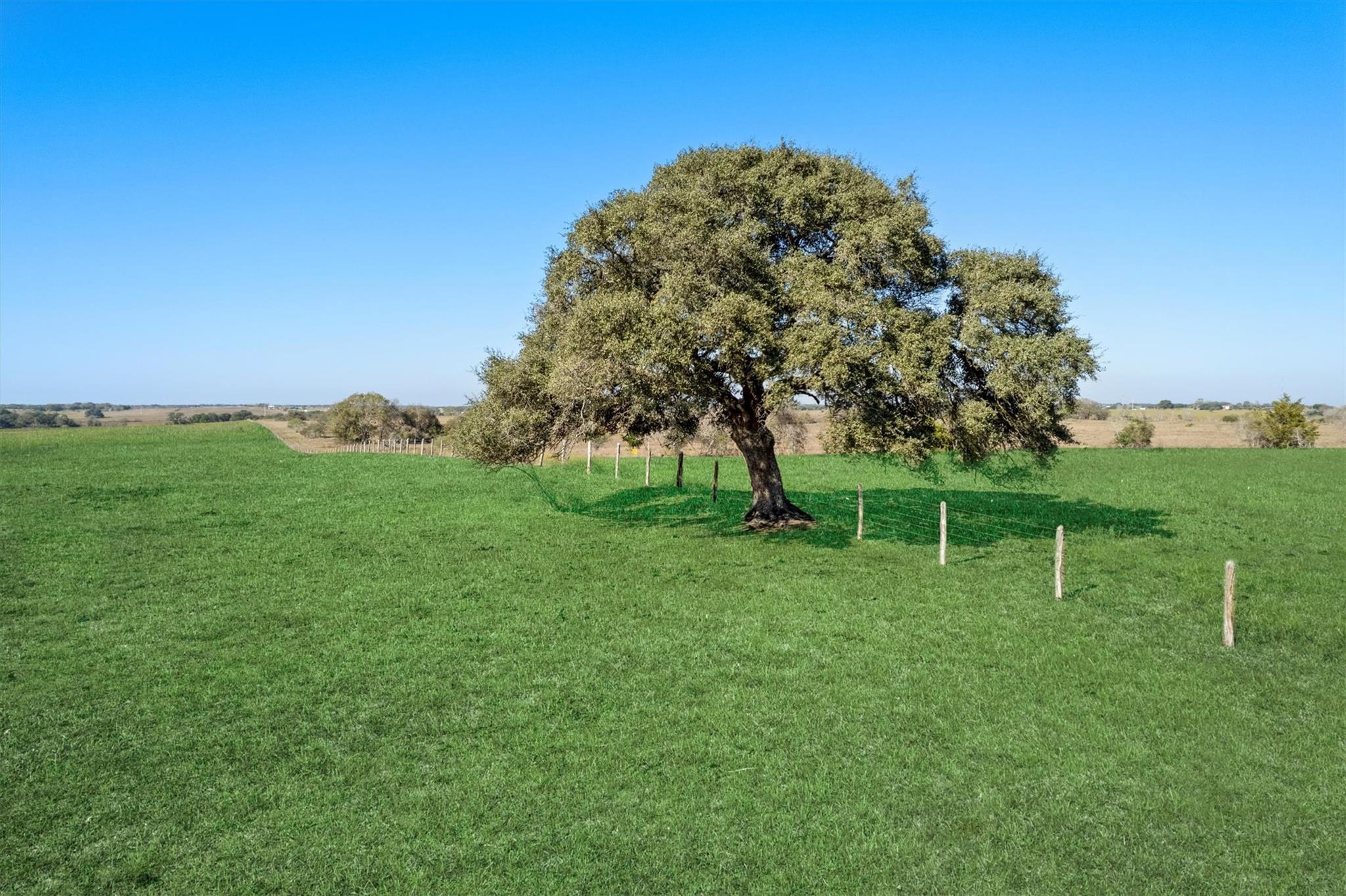 Abs A0497 J S Wilder County Road 258