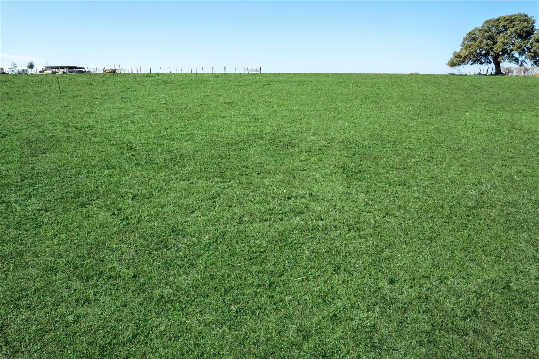 Abs A0497 J S Wilder County Road 258