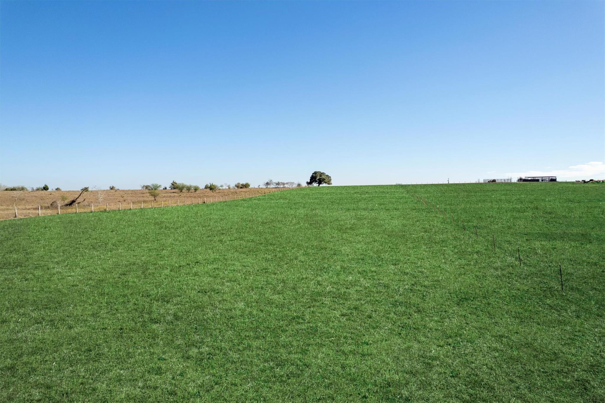 Abs A0497 J S Wilder County Road 258