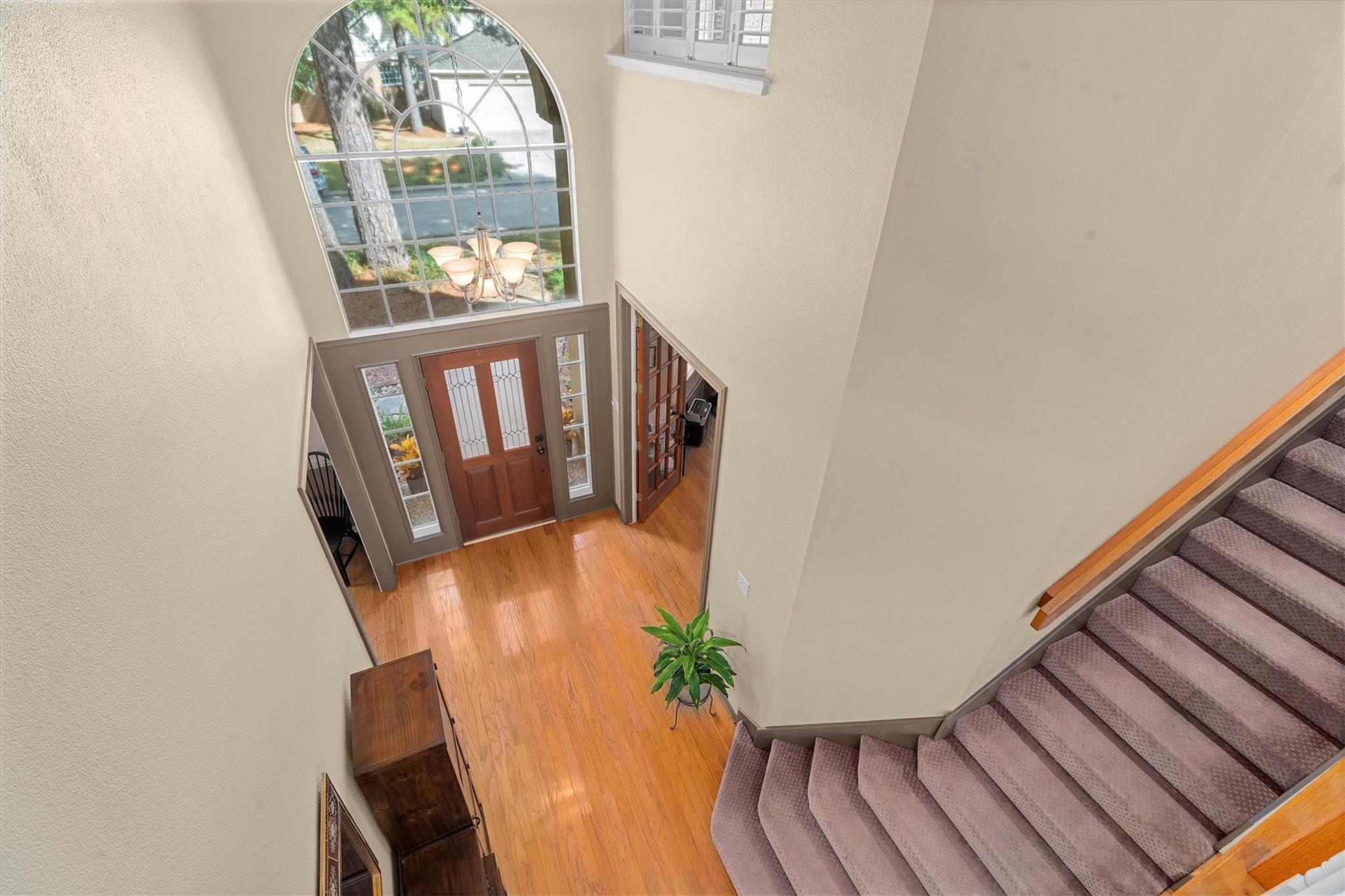 117 Treescape Circle