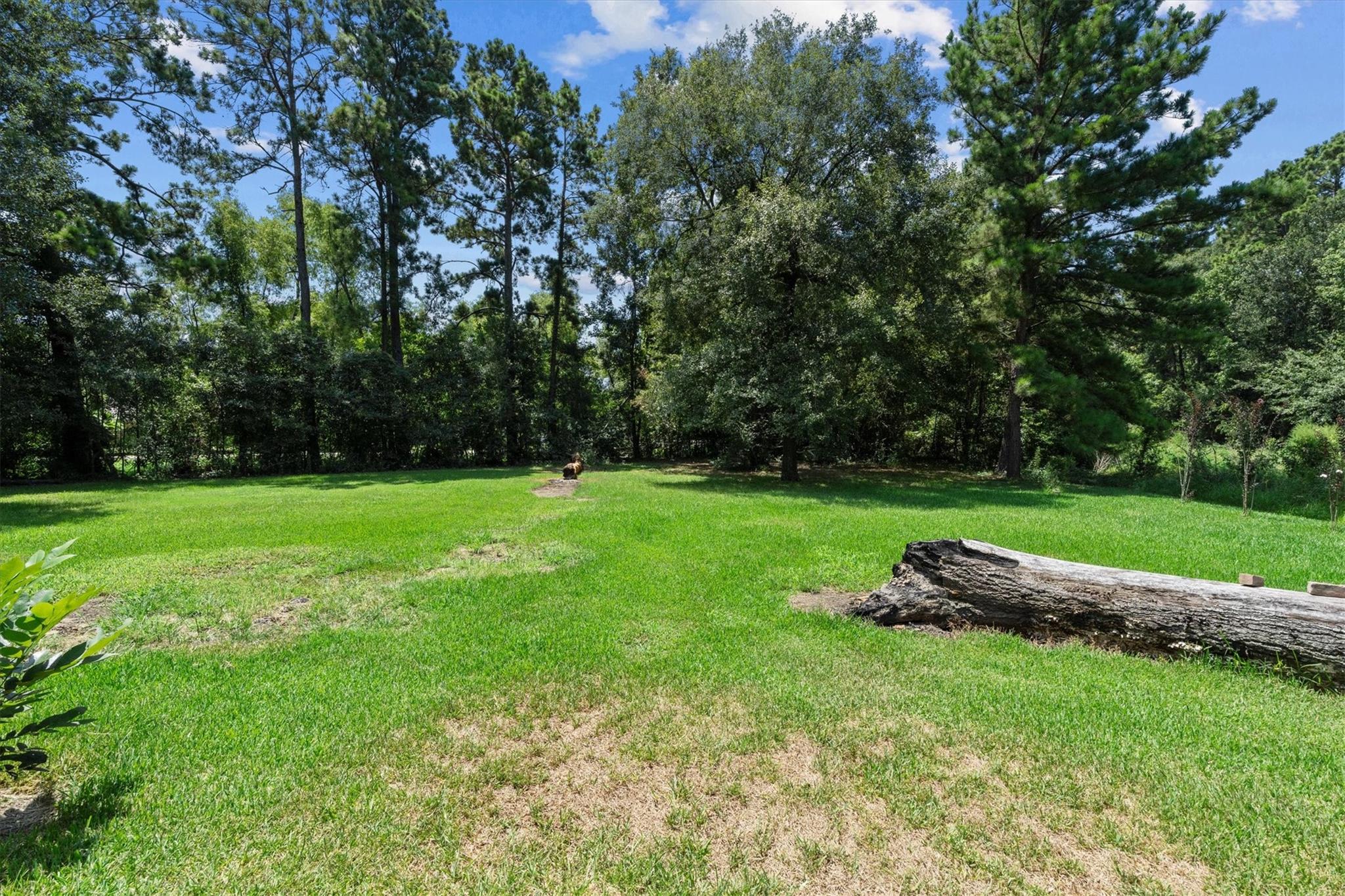 19624 Irenell Drive