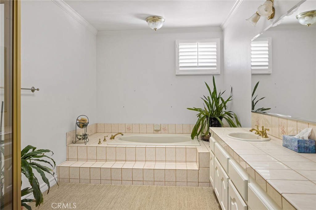 29411 Deerview Court