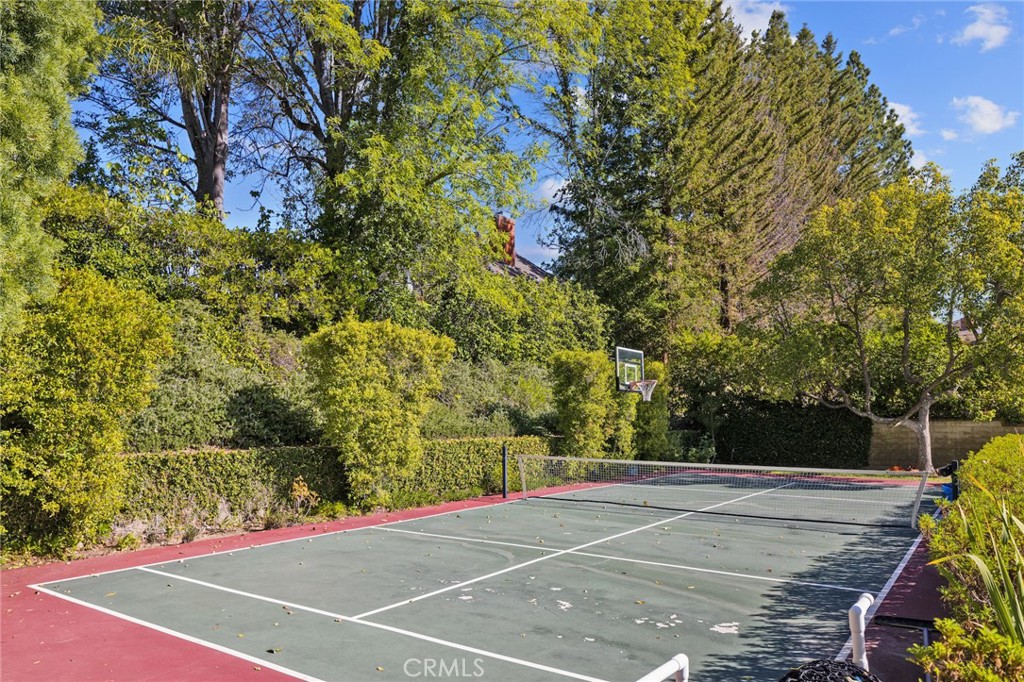 29411 Deerview Court