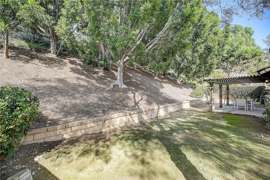 3221 Falcon Ridge Road