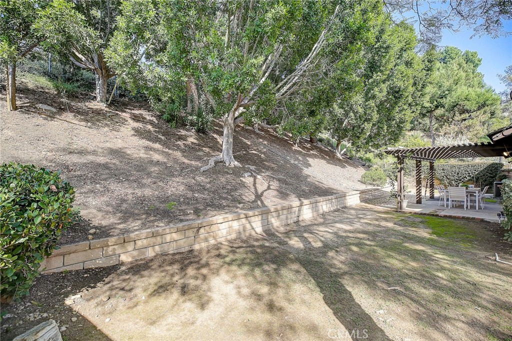 3221 Falcon Ridge Road