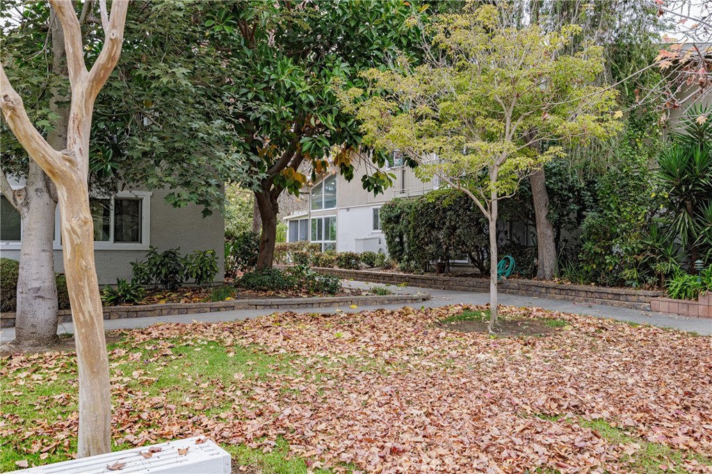 562 Avenida Sevilla D