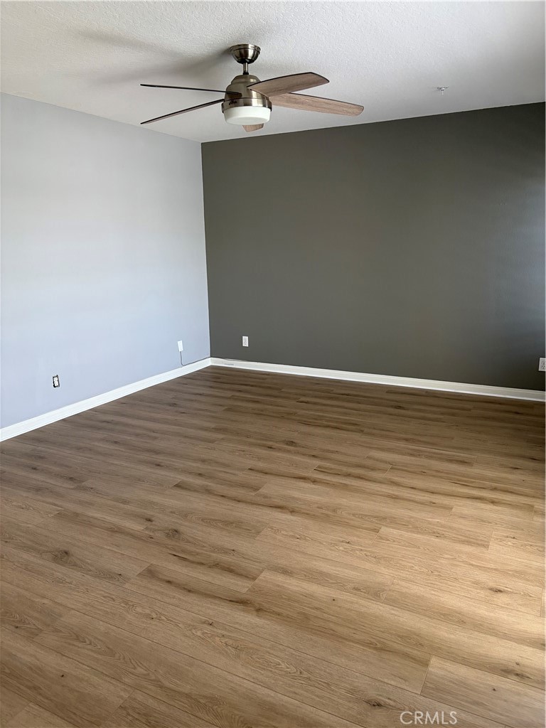 345 Avocado