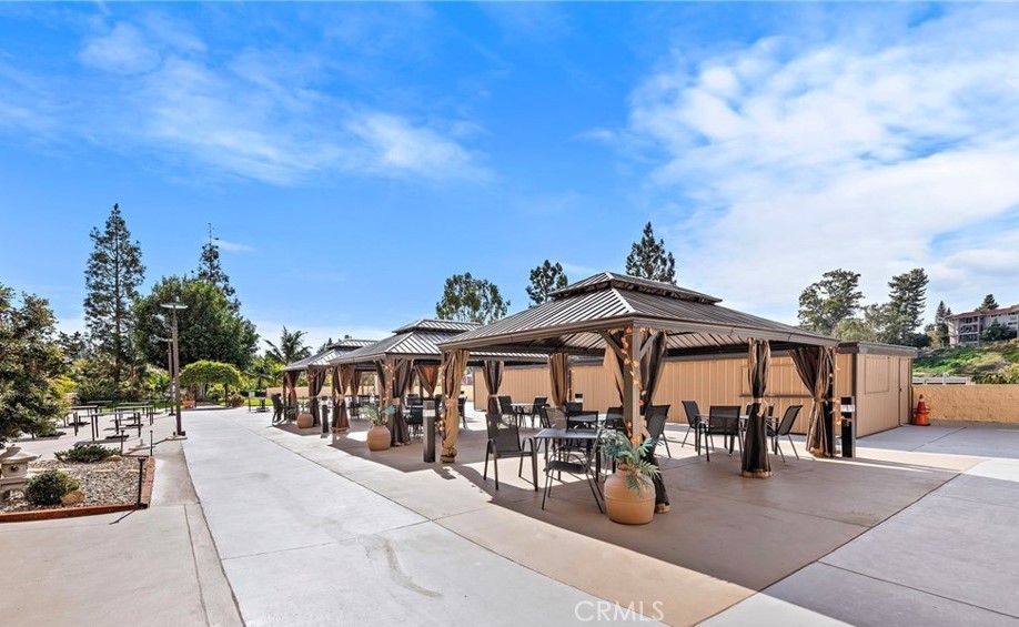 24055 Paseo Del Lago 1106