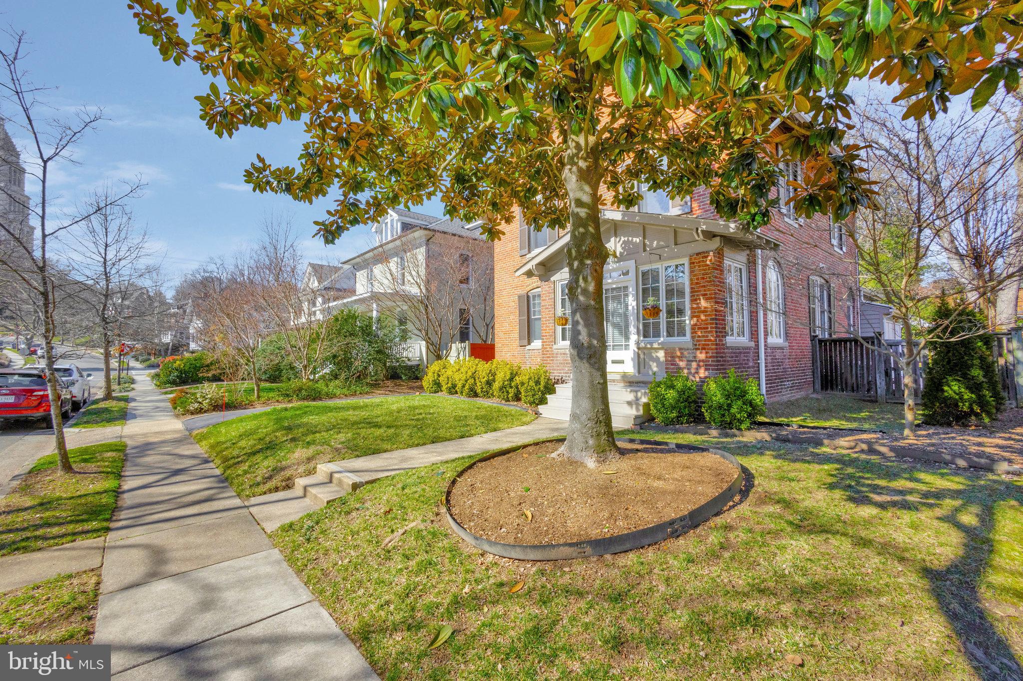 19 Cedar St