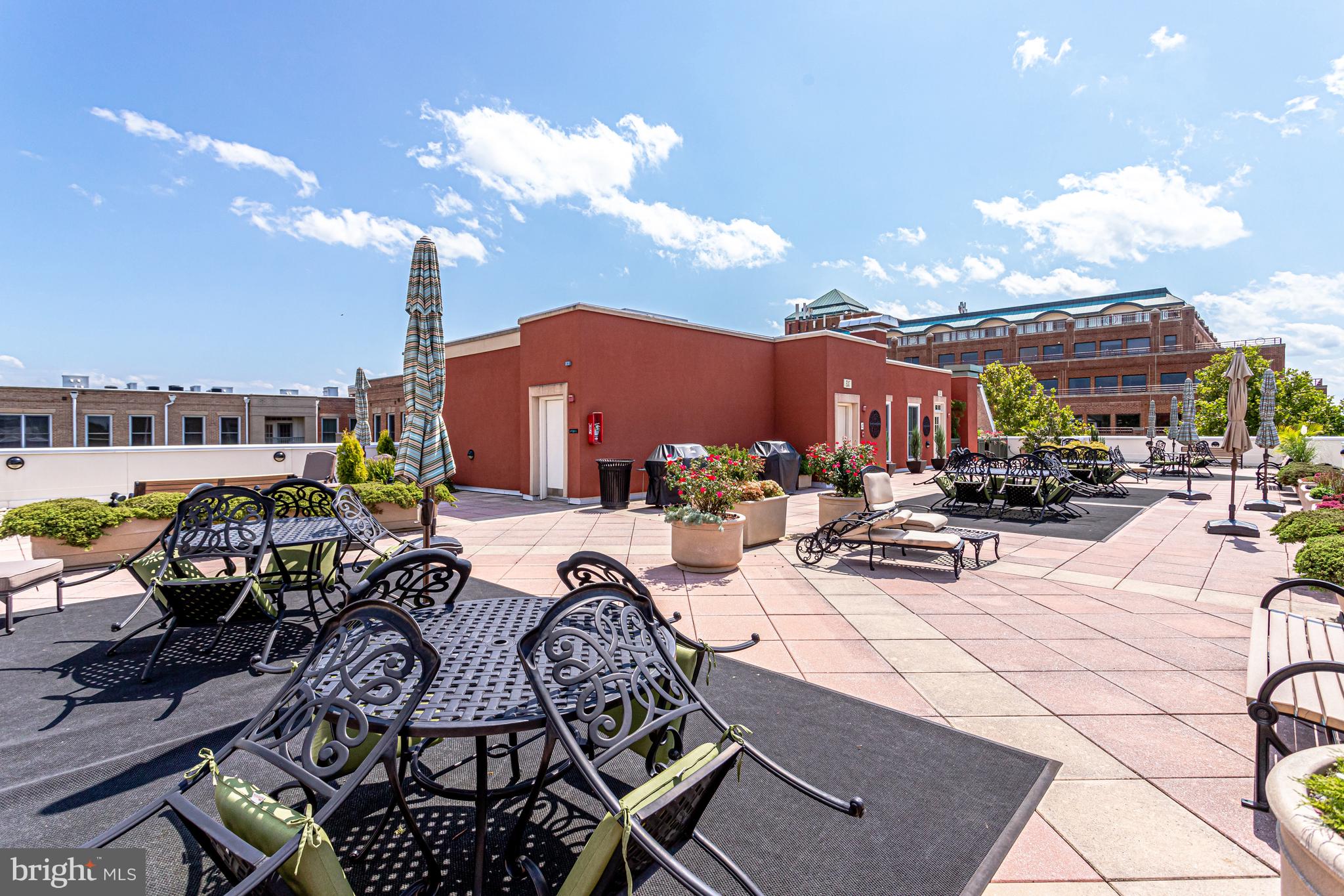 1115 Cameron St #113