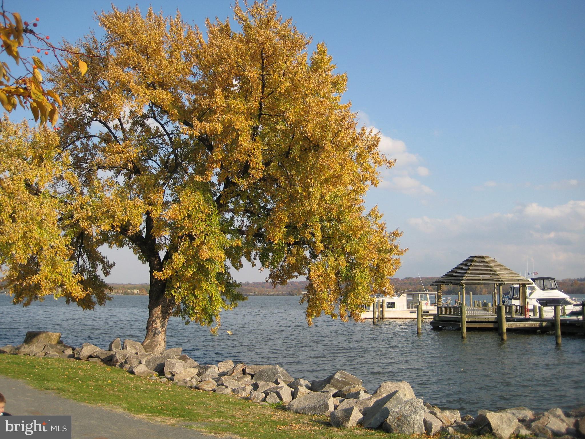 1115 Cameron St #113