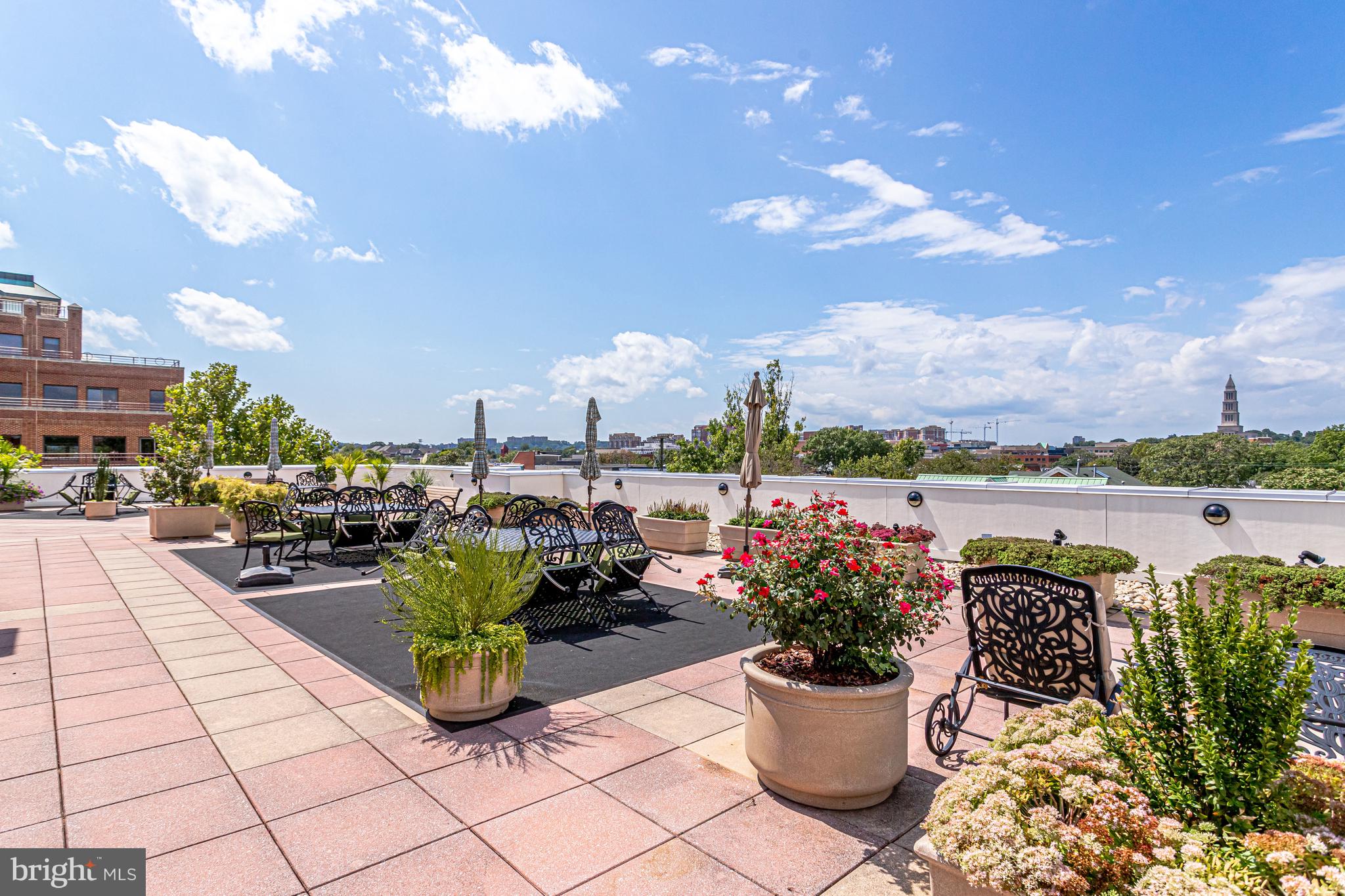 1115 Cameron St #113