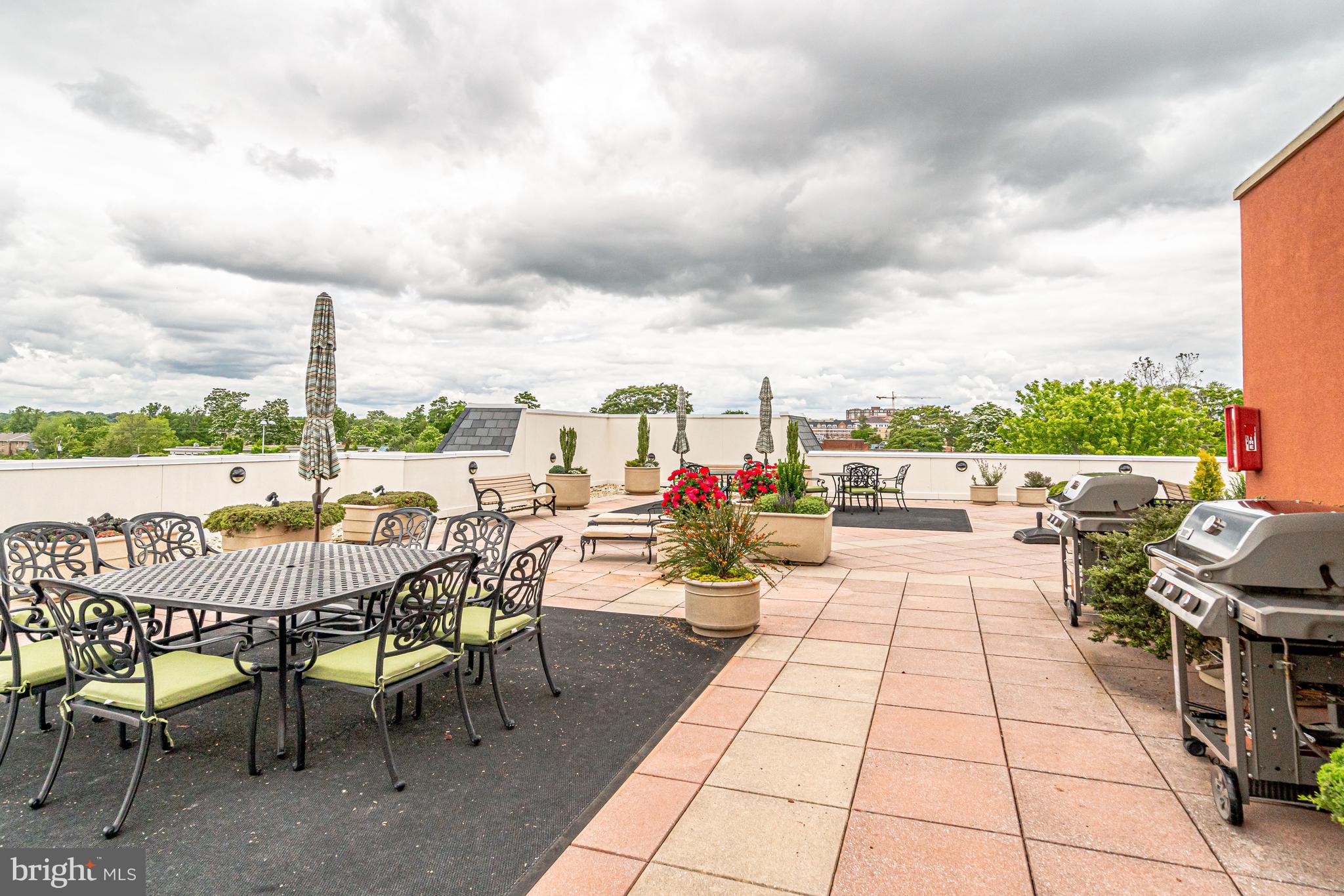 1115 Cameron St #113