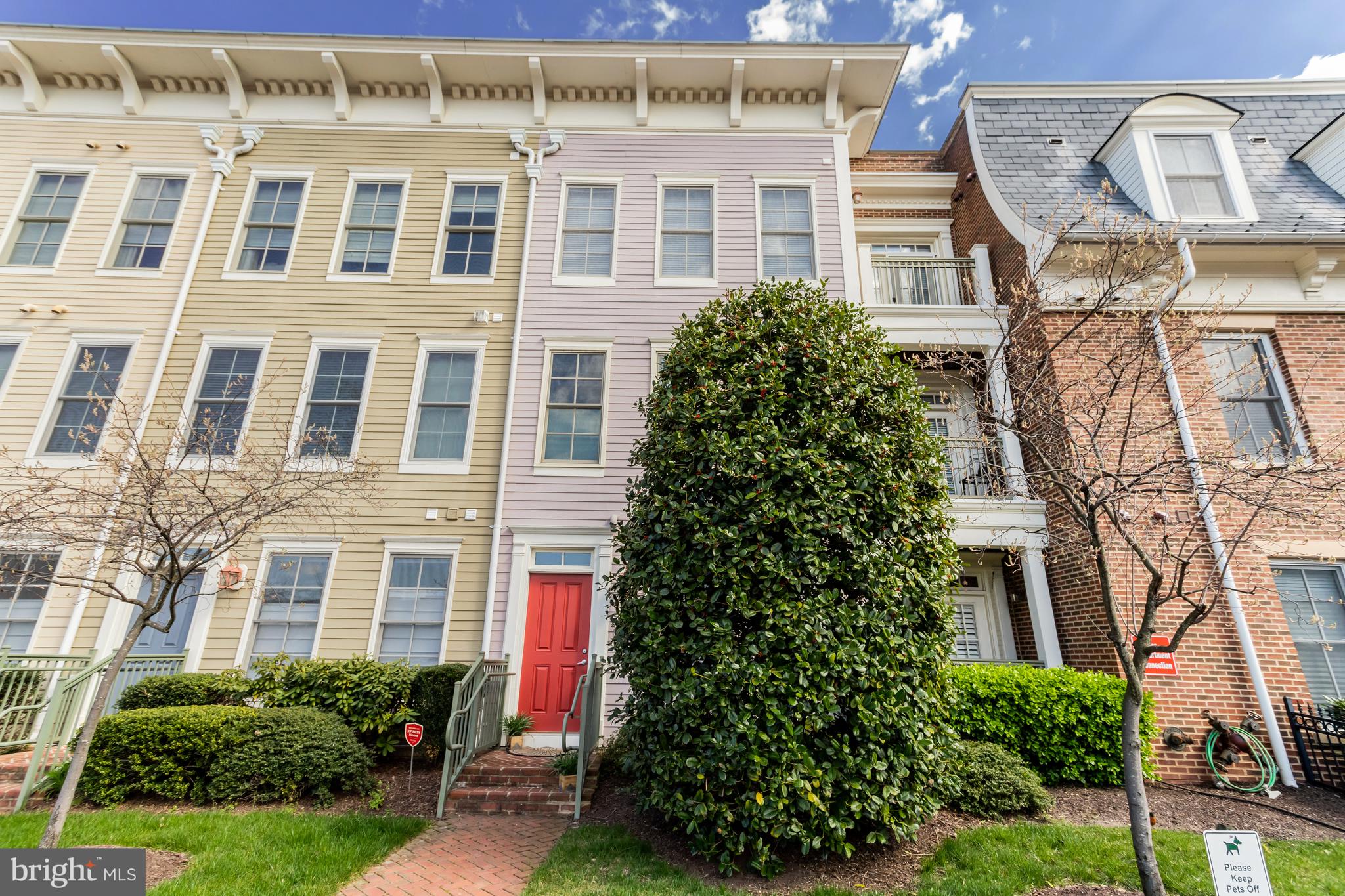 1115 Cameron St #113