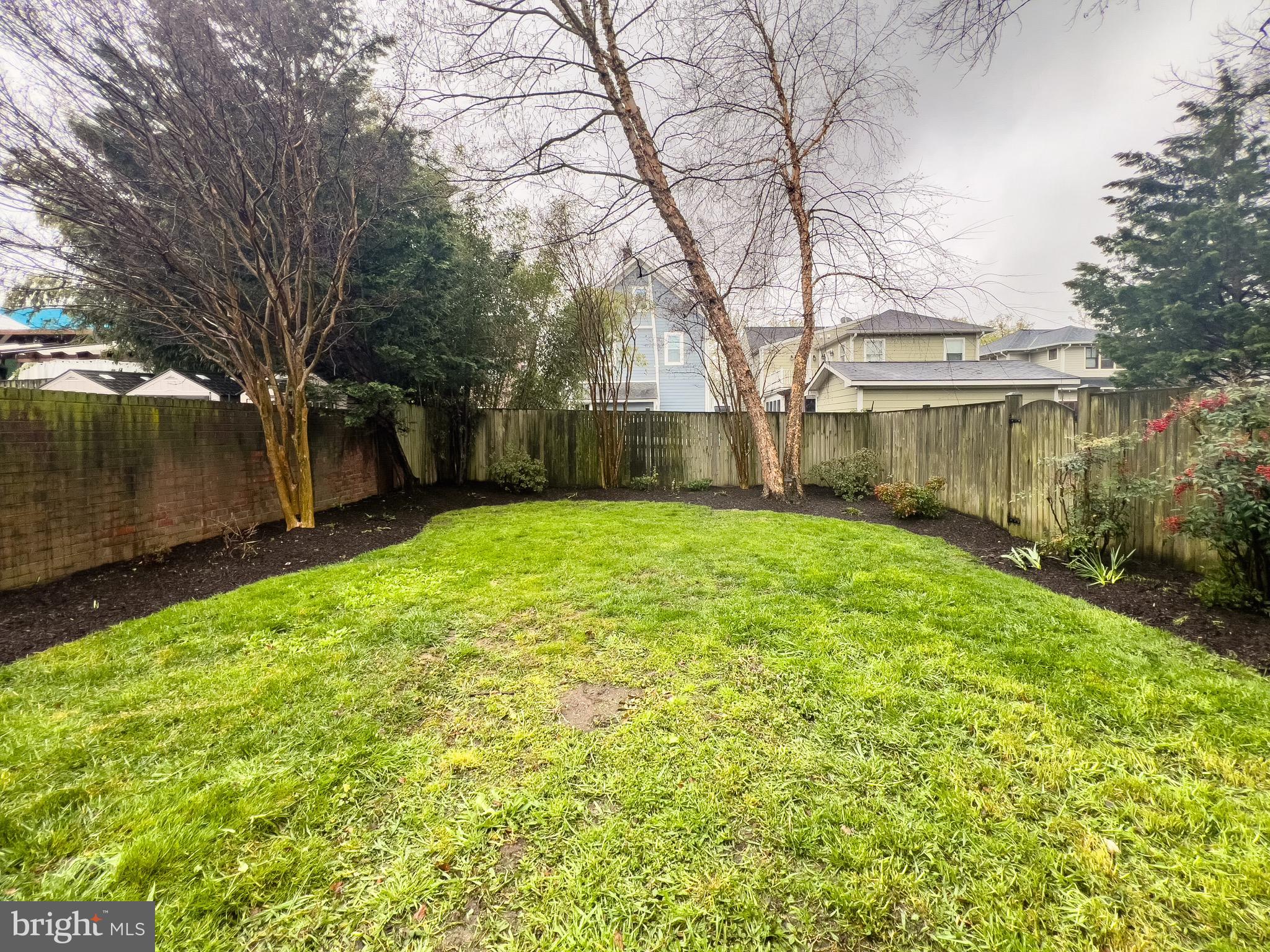 113 E Windsor Ave #C