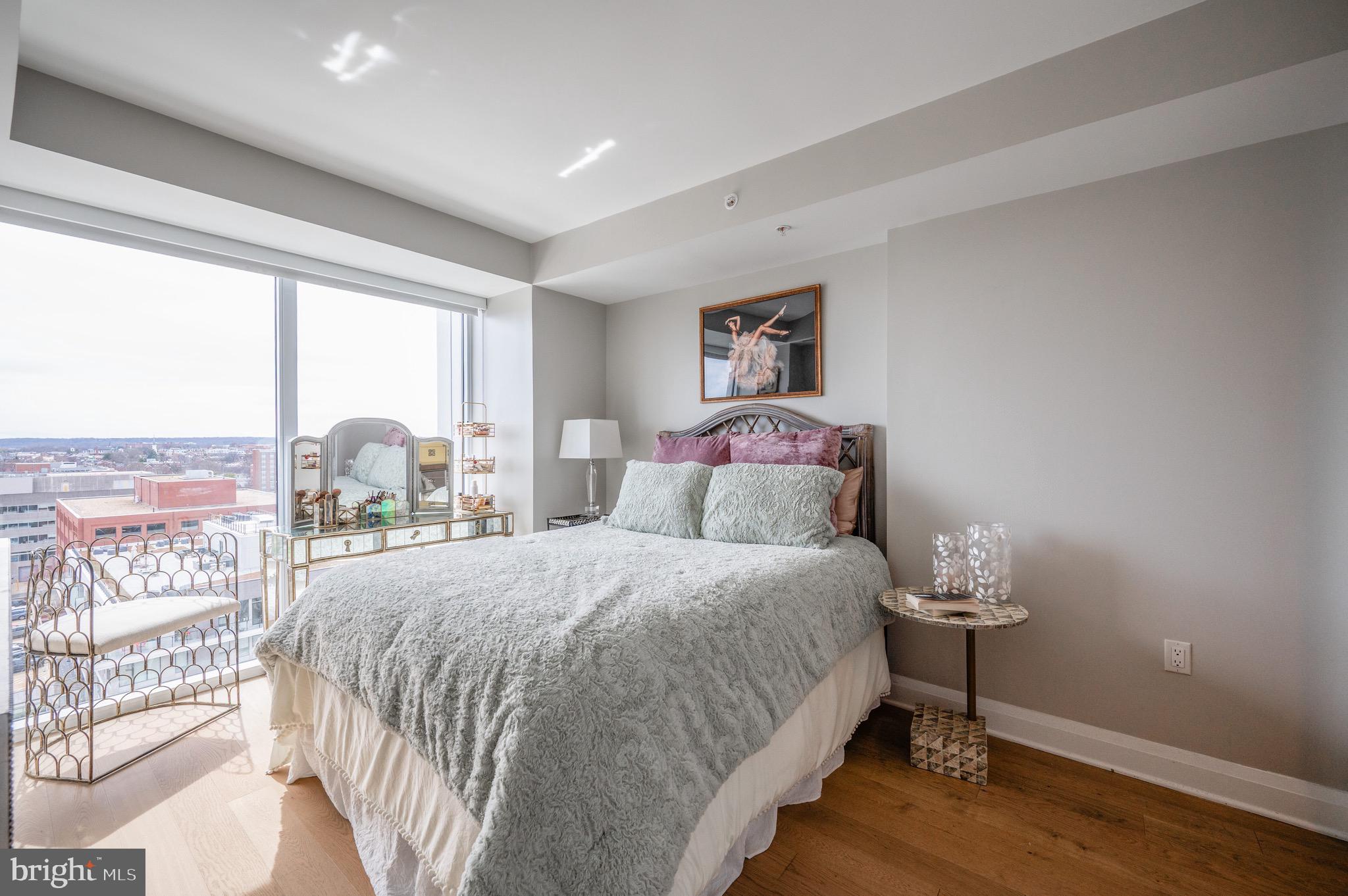 925 N Fairfax St #1103