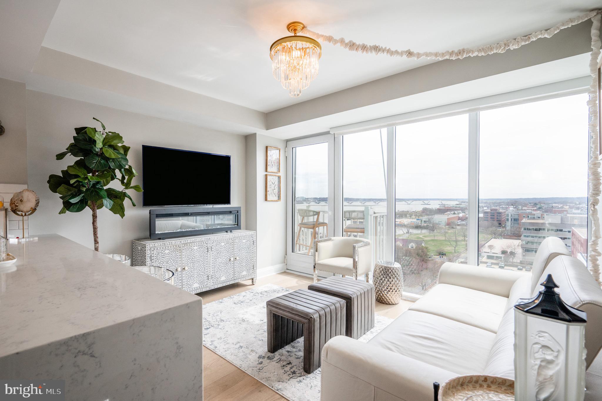 925 N Fairfax St #1103